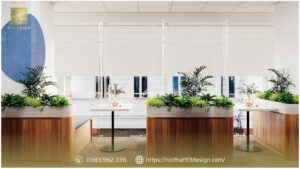 Thiết kế nội thất văn phòng cho startup: Khởi đầu chuyên nghiệp, bứt phá thành công