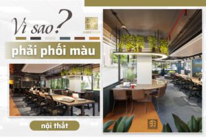 Vì sao phải phối màu sắc trong thiết kế nội thất?