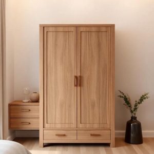 Tủ Quần Áo Gỗ 2 Cánh Lớn D338