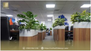 Nội Thất Văn Phòng Với Cây Xanh - Giải Pháp Xanh Cho Không Gian Làm Việc